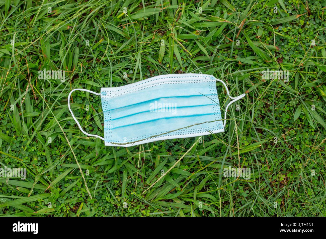 Blaue Einweg-Schutzmaske, zum Schutz vor Cornavirus, auf grünes Gras in Rio de Janeiro geworfen. Stockfoto