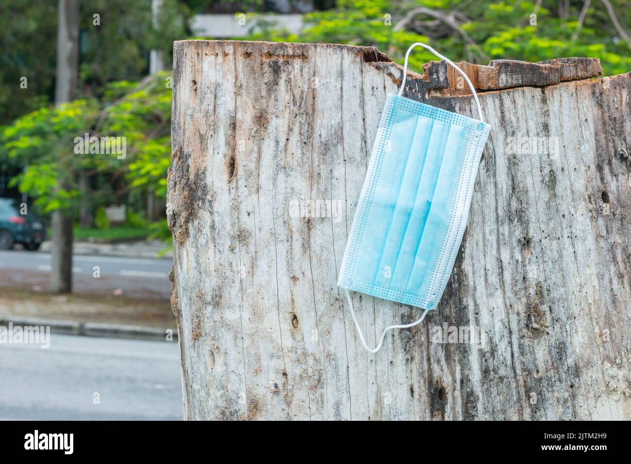Blaue Einweg-Schutzmaske, zum Schutz vor Cornavirus, auf einen Baumstamm in Rio de Janeiro geworfen. Stockfoto