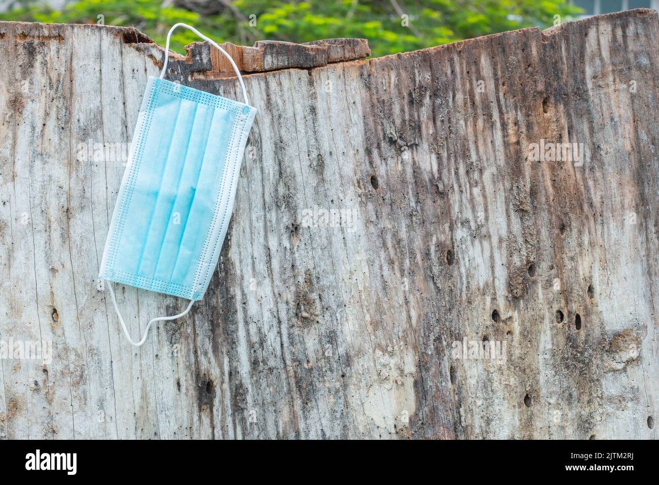 Blaue Einweg-Schutzmaske, zum Schutz vor Cornavirus, auf einen Baumstamm in Rio de Janeiro geworfen. Stockfoto