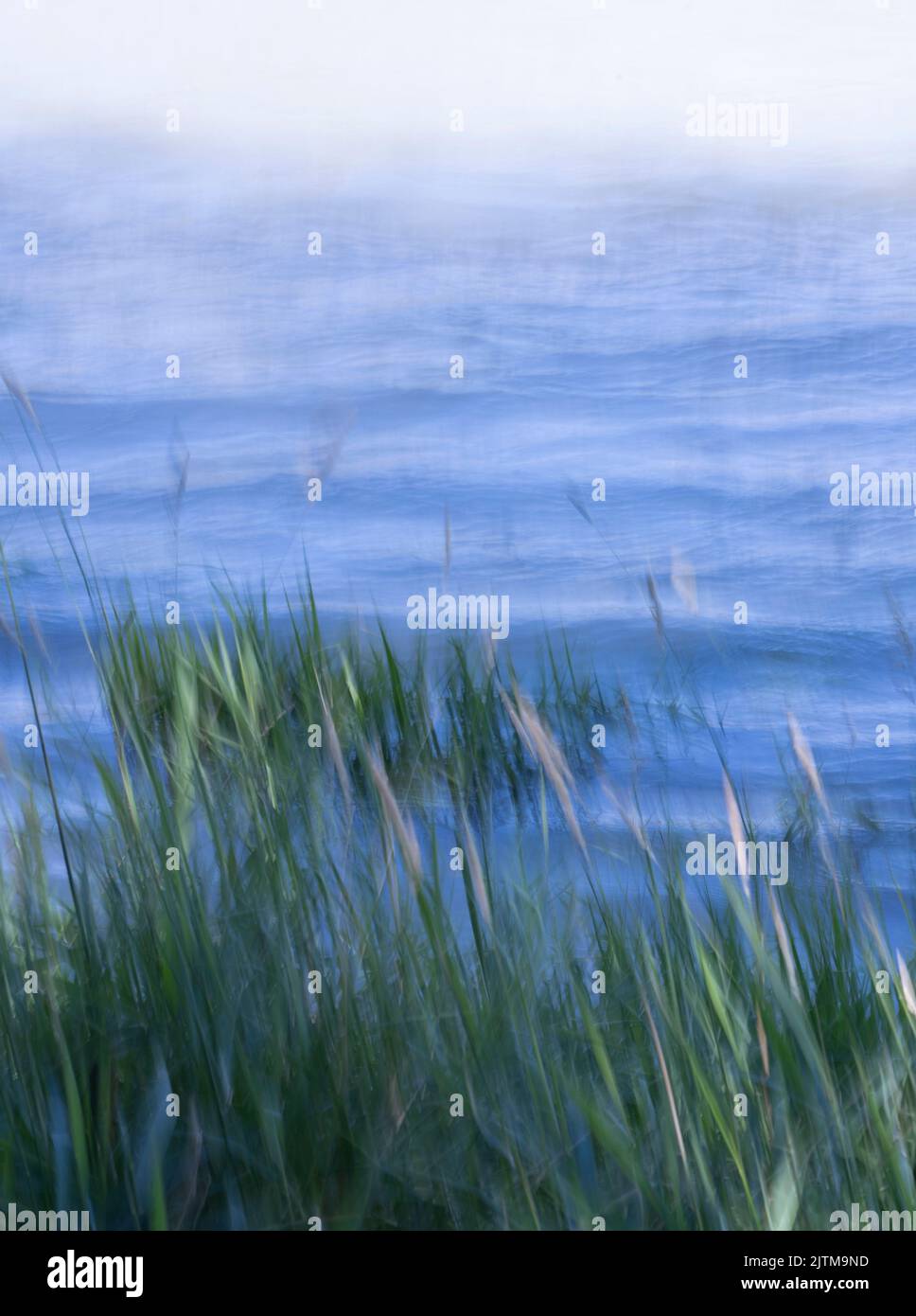 Bewegungsunschärfe zeigt sich an der Küste des Flusses. Blaues Wasser verblasst. Grünes Gras Wellen. Kühle Farben verblassen zu beigefarbenem Rosa.Ombre Farbtöne. Stockfoto