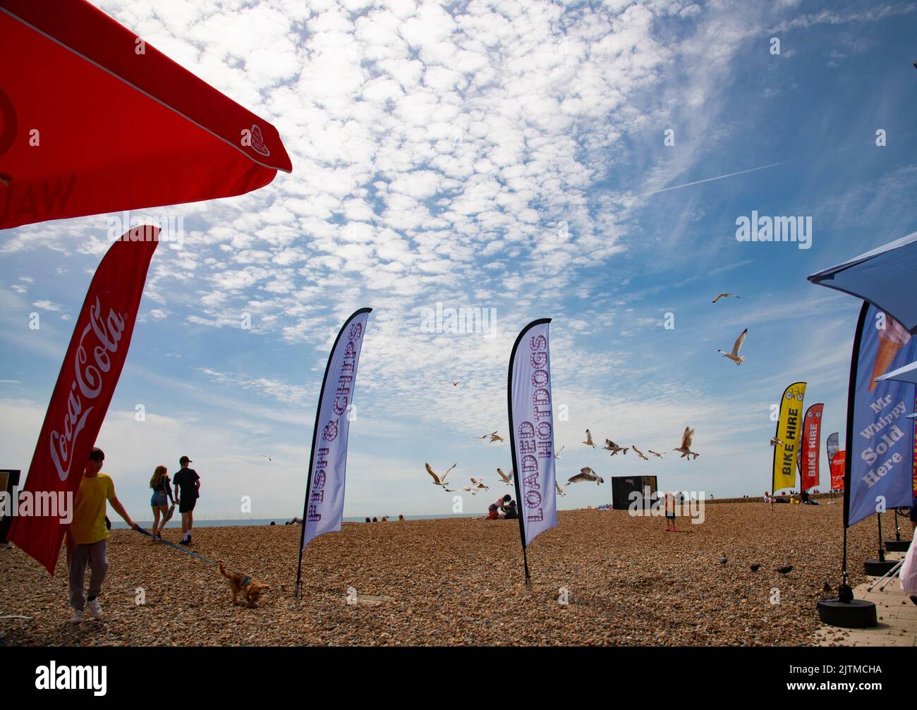 Ein kleiner Junge geht mit seinem Welpen am Brighton Beach, Sussex, England, Stockfoto