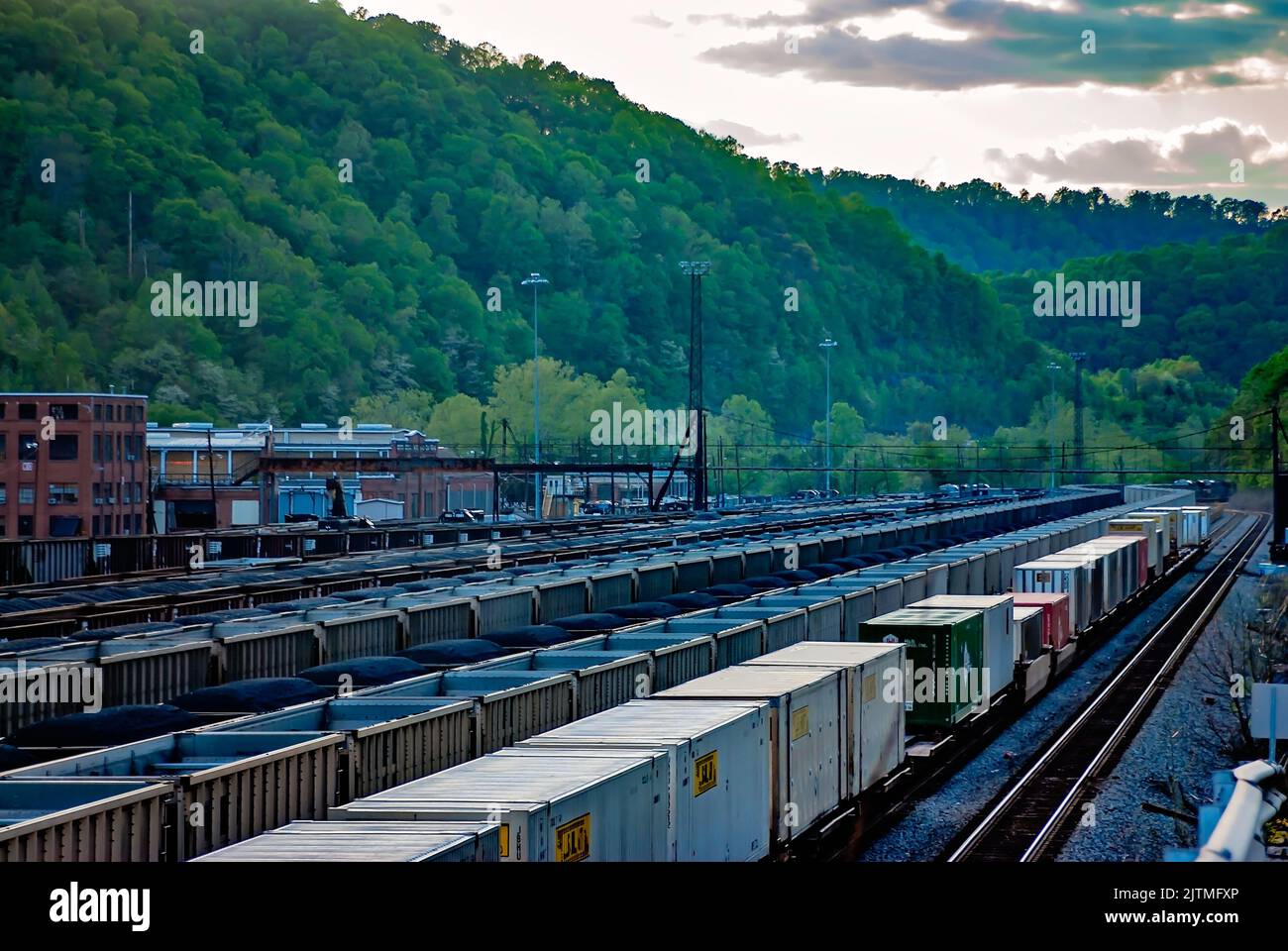 Die mit Kohle gefüllten Autos der Norfolk Southern Railway sind auf dem Williamson-Eisenbahnhof am 28. April 2010 in Williamson, West Virginia, abgebildet. Stockfoto