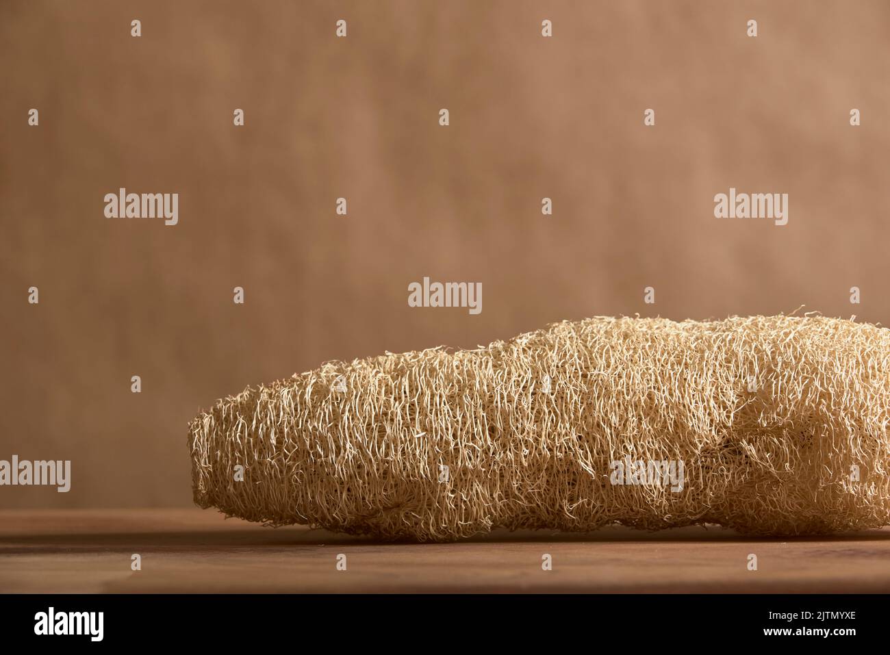 Loofah, biologisch abbaubarer ökologischer Gemüseschwamm. Konzepte: Nachhaltiger Lebensstil, Auswahl umweltfreundlicher Produkte. Stockfoto