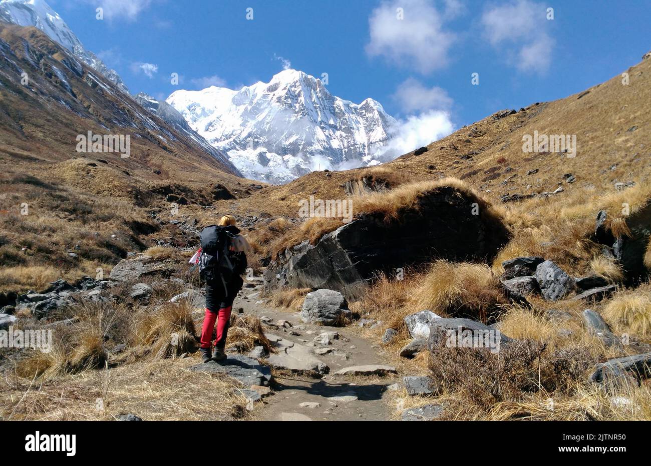 Reise zum Annapurna Basislager, Nepal. Stockfoto