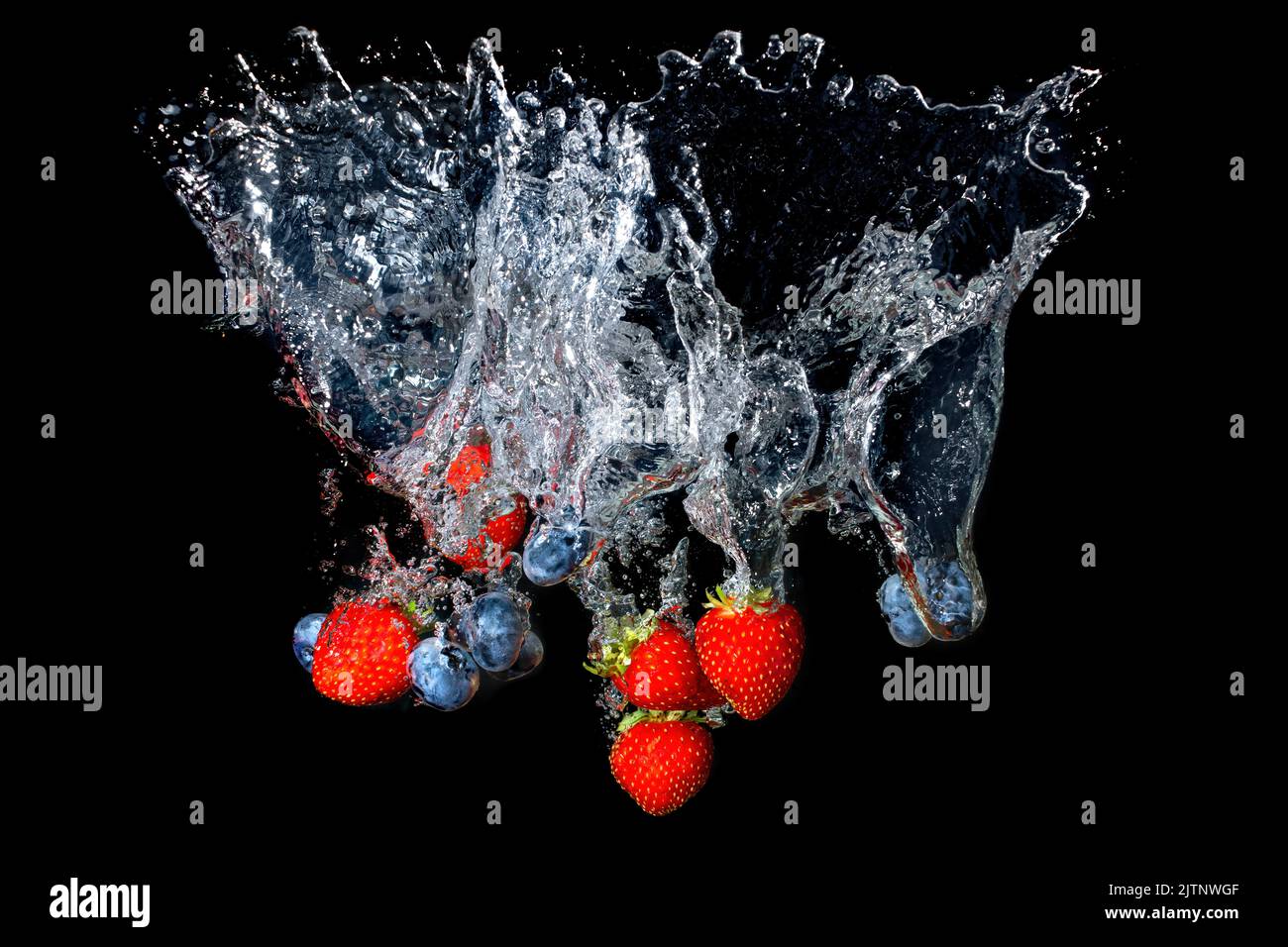 Frische Erdbeeren und Heidelbeeren, die unter Wasser auf Schwarz spritzen Stockfoto