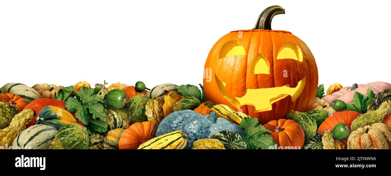 Geschnitzte Kürbisse ernten als Jack-O-Lantern-Kürbis mit frischem Farmkürbis und farbenfrohen Danksagekürbissen der Saison und Herbstkürbissen. Stockfoto
