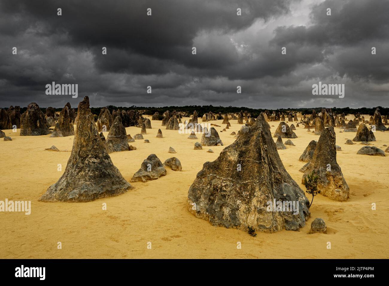 Herausragende Felsformationen der Pinnacles im Nambung National Park. Stockfoto