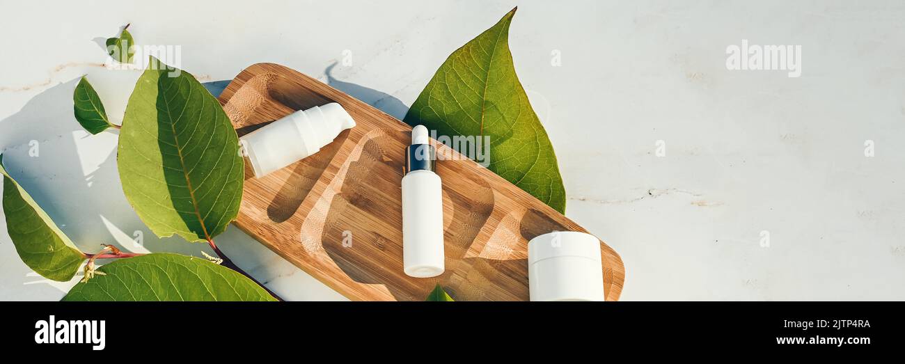 Kosmetikflaschen-Behälter mit grünen Kräuterblättern, leere Verpackung, Branding-Mockups. Naturkosmetik Konzept für die Hautpflege Draufsicht, flach Lay Ban Stockfoto