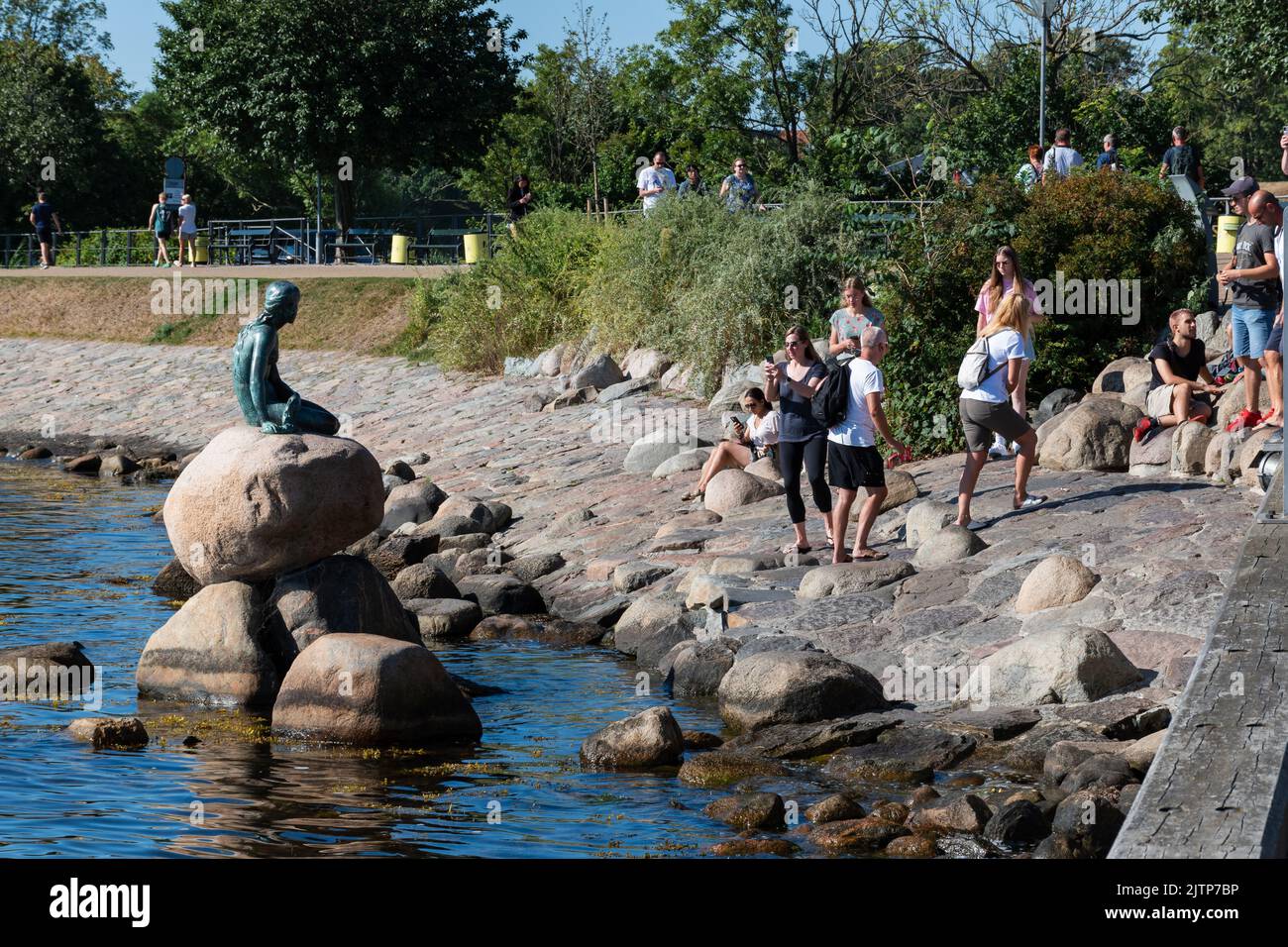 Kopenhagen, Dänemark. 13. August 2022. Die kleine Statue der Meerjungfrau (Den Lille Havfrue) mit einer Gruppe von Touristen am frühen Sommermorgen Stockfoto