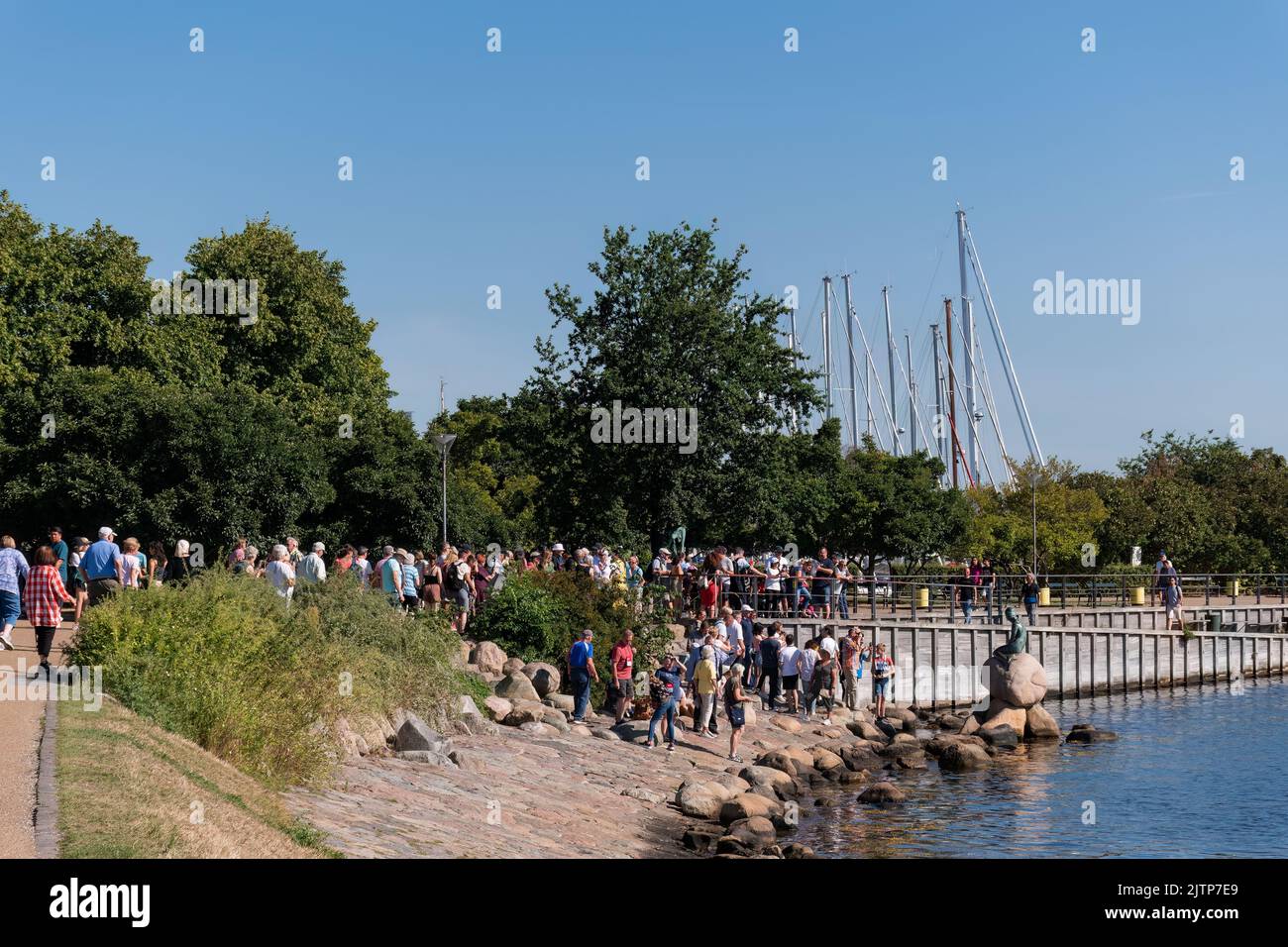 Kopenhagen, Dänemark. 13. August 2022. Eine Gruppe von Touristen neben der Statue der kleinen Meerjungfrau (Den Lille Havfrue) am frühen Sommermorgen Stockfoto