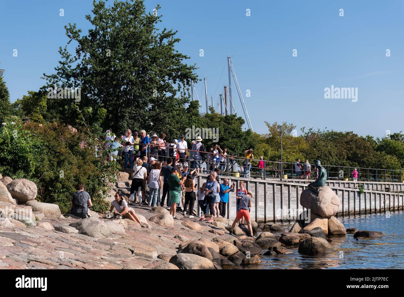 Kopenhagen, Dänemark. 13. August 2022. Eine Gruppe von Touristen neben der Statue der kleinen Meerjungfrau (Den Lille Havfrue) am frühen Sommermorgen Stockfoto