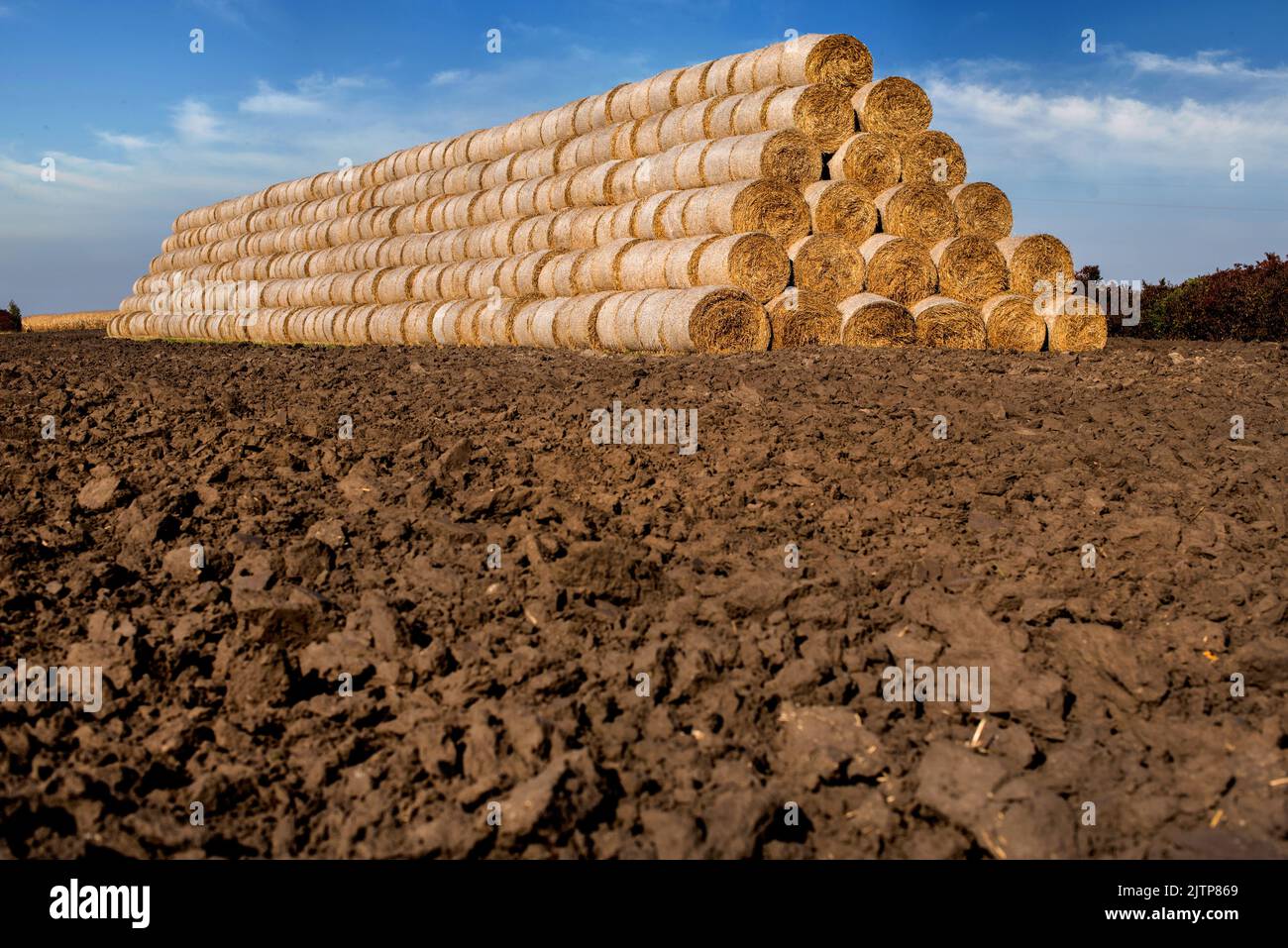 Strohballen in einem pyramidenförmigen Stapel auf einem gepflügten Feld, Ackerland gestapelt Stockfoto