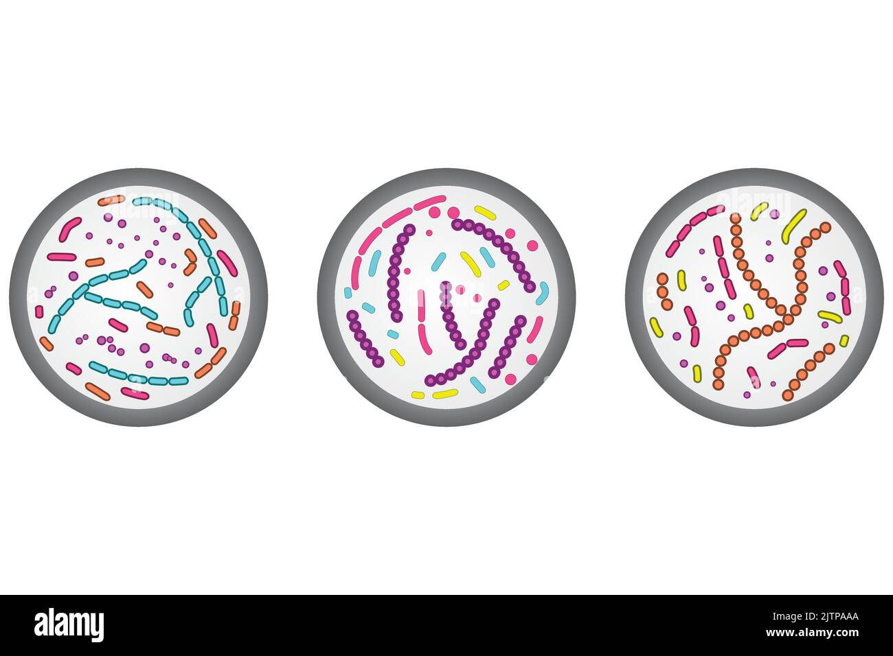 Set mit 3 Petrischalen-Symbolen. Farbenfrohe, einfache Illustration mit Bakterienzellen. Stock Vektor