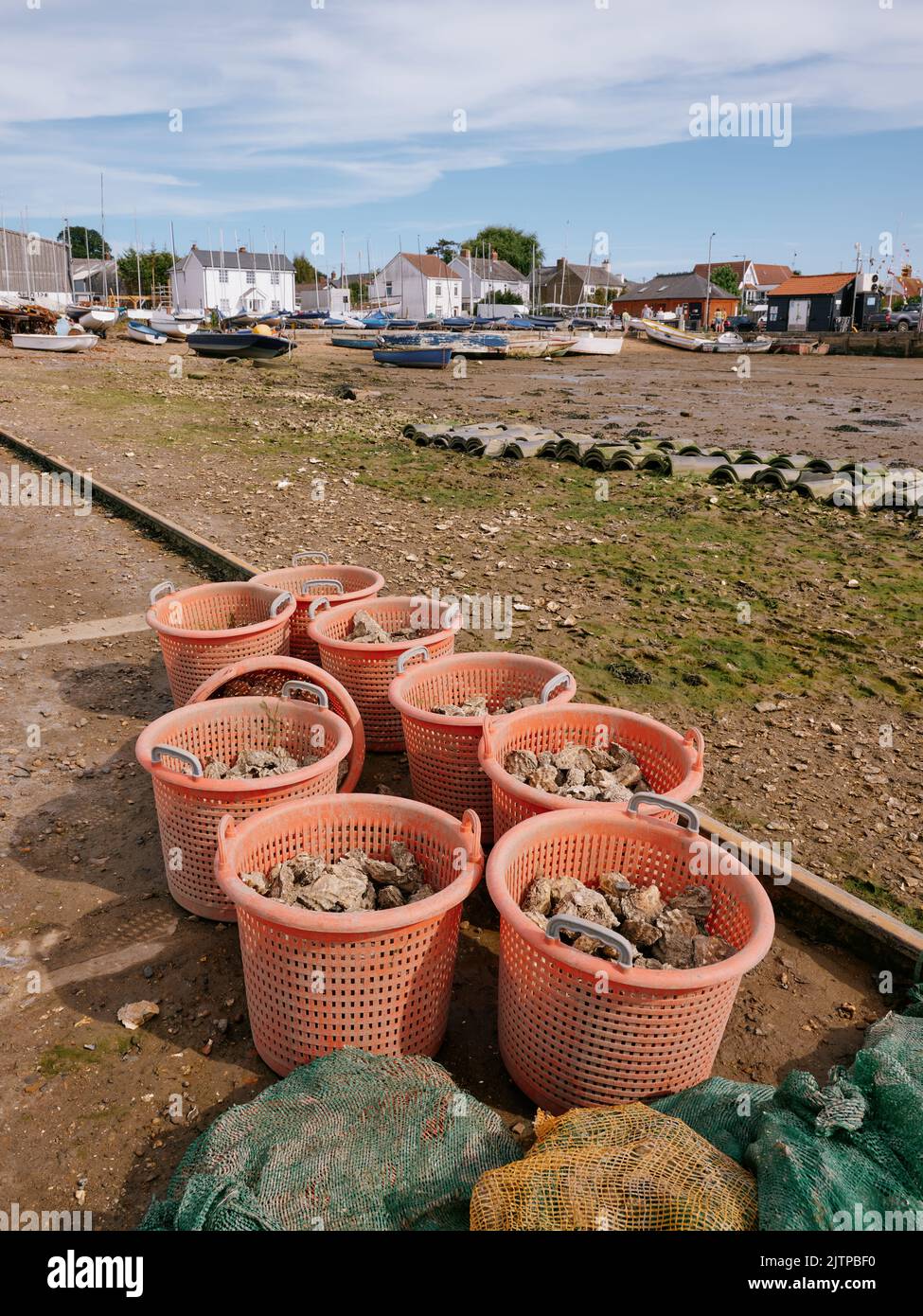 Frisch angelandete Austern in Plastikbehältern am Ebbe-Vorland im West Mersea Harbour, Mersea Island, Essex England - lokale Produkte Meeresfrüchte Stockfoto
