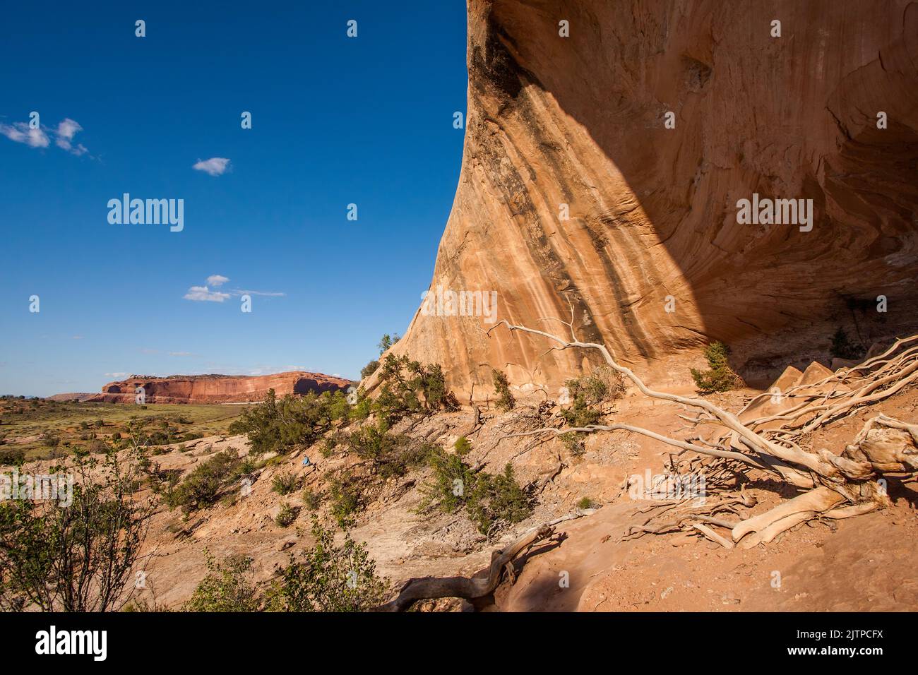 Wüstenlack strichen in einer Wand aus Navajo-Sandstein mit dem großen Mesa dahinter, in der Nähe von Moab, Utah. Stockfoto