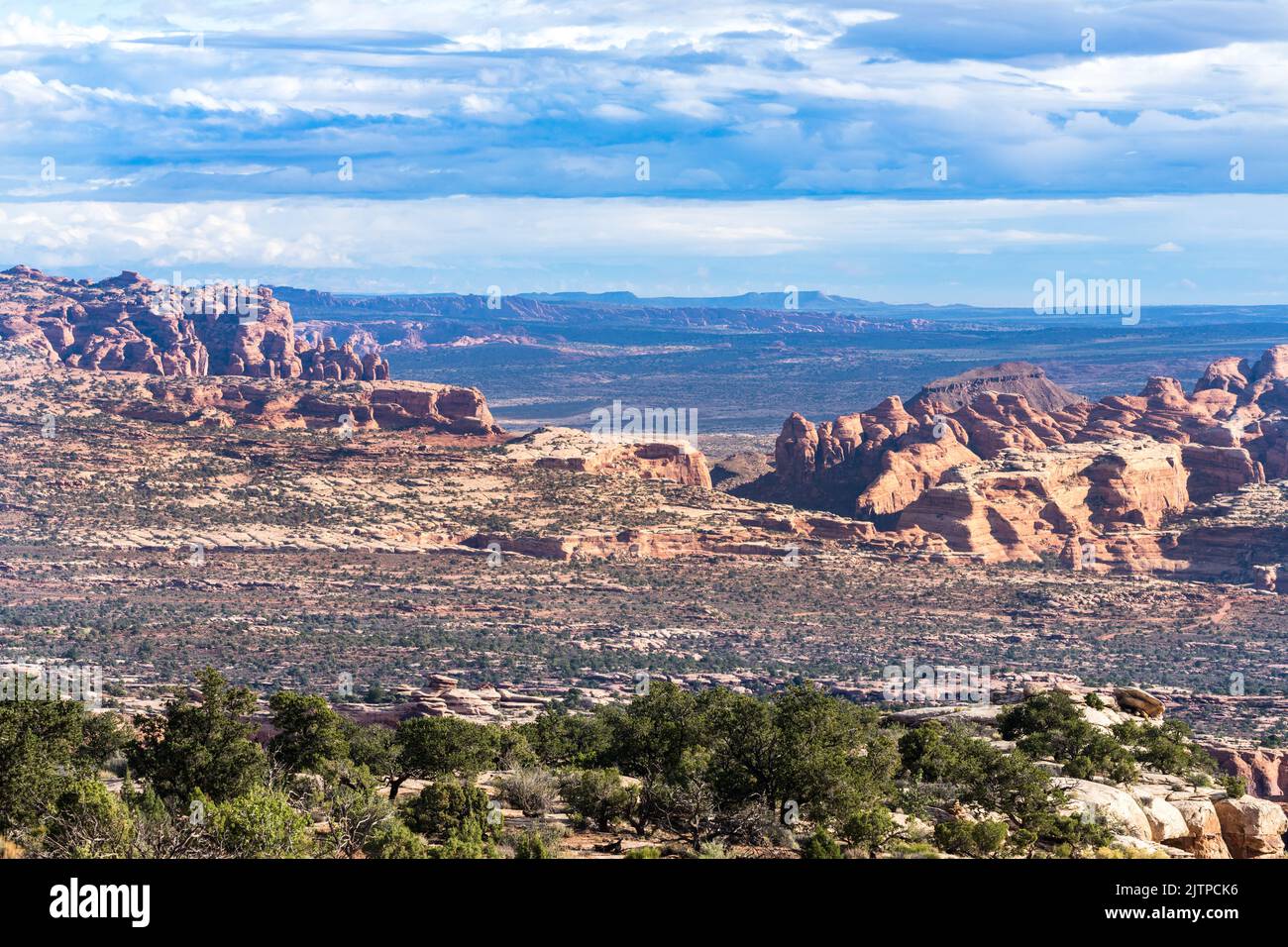 Teil von Arth's Rim, rechts, über Little Canyon mit Arth's Weide im Vordergrund. Moab, Utah. Stockfoto