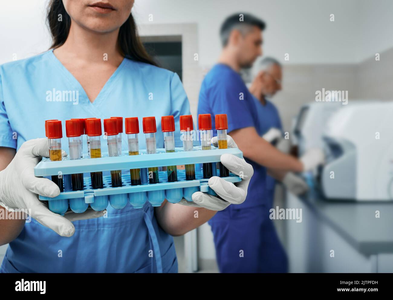 Reagenzglasgestell mit Blutproben in Laborhänden, Nahaufnahme im modernen medizinischen Labor Stockfoto