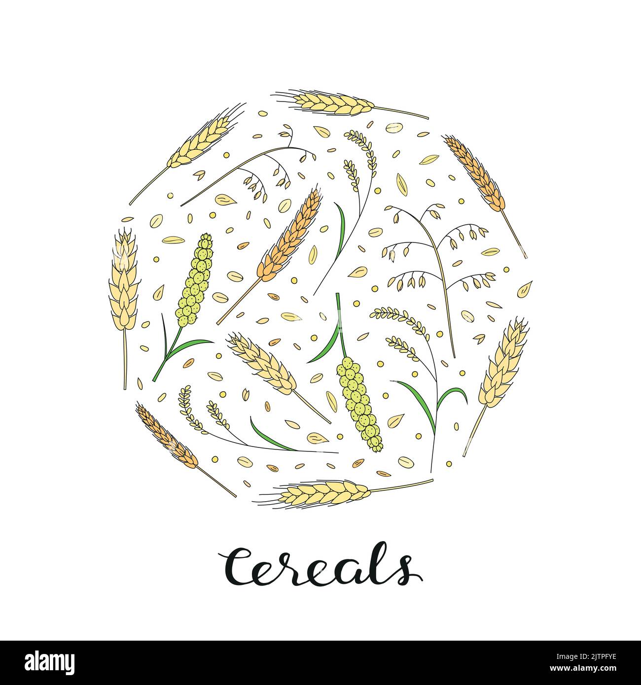 Handgezeichnete Getreide- und Körner in Kreisform mit Schriftzug. Gerste, Weizen, Reis, Hafer, Roggen, Hirse Stock Vektor