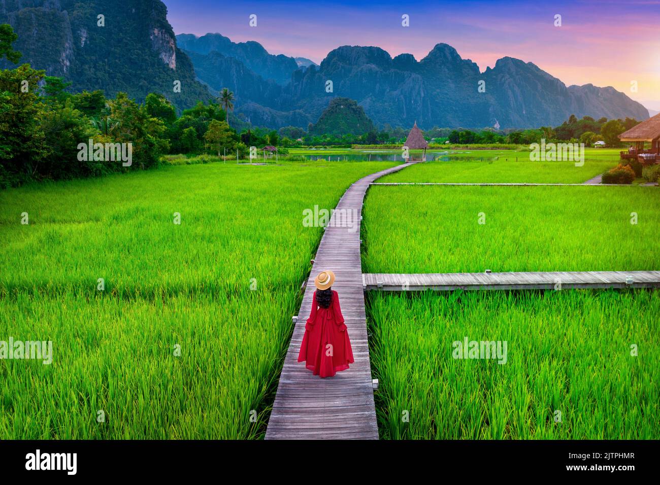 Junge Frau zu Fuß auf Holz- Pfad mit grünen Reisfeldern in Vang Vieng, Laos. Stockfoto