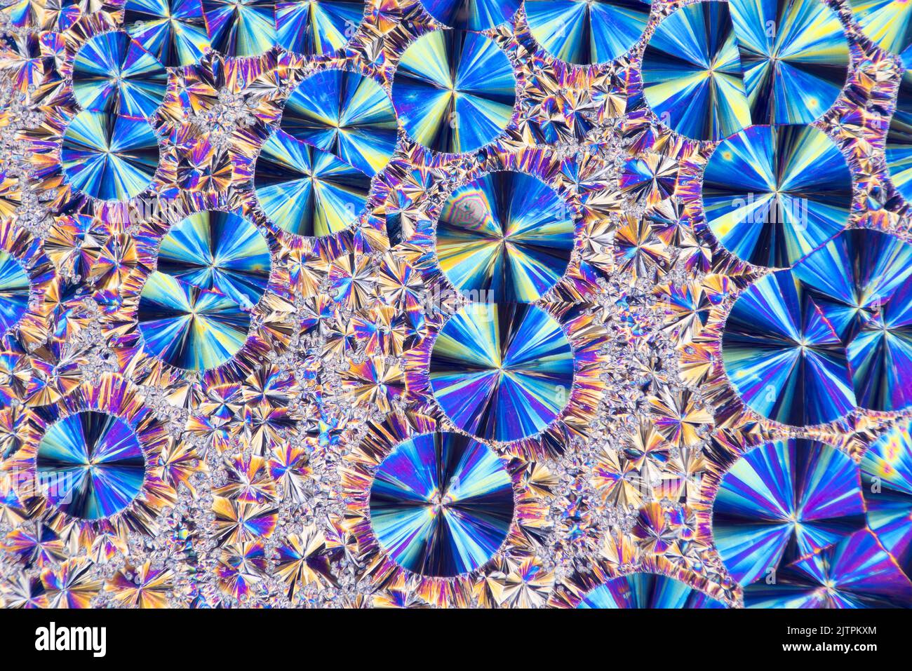 Salicene chemische kristalline Gleitschmelze, kreuzpolarisierte Photomikrograph Stockfoto