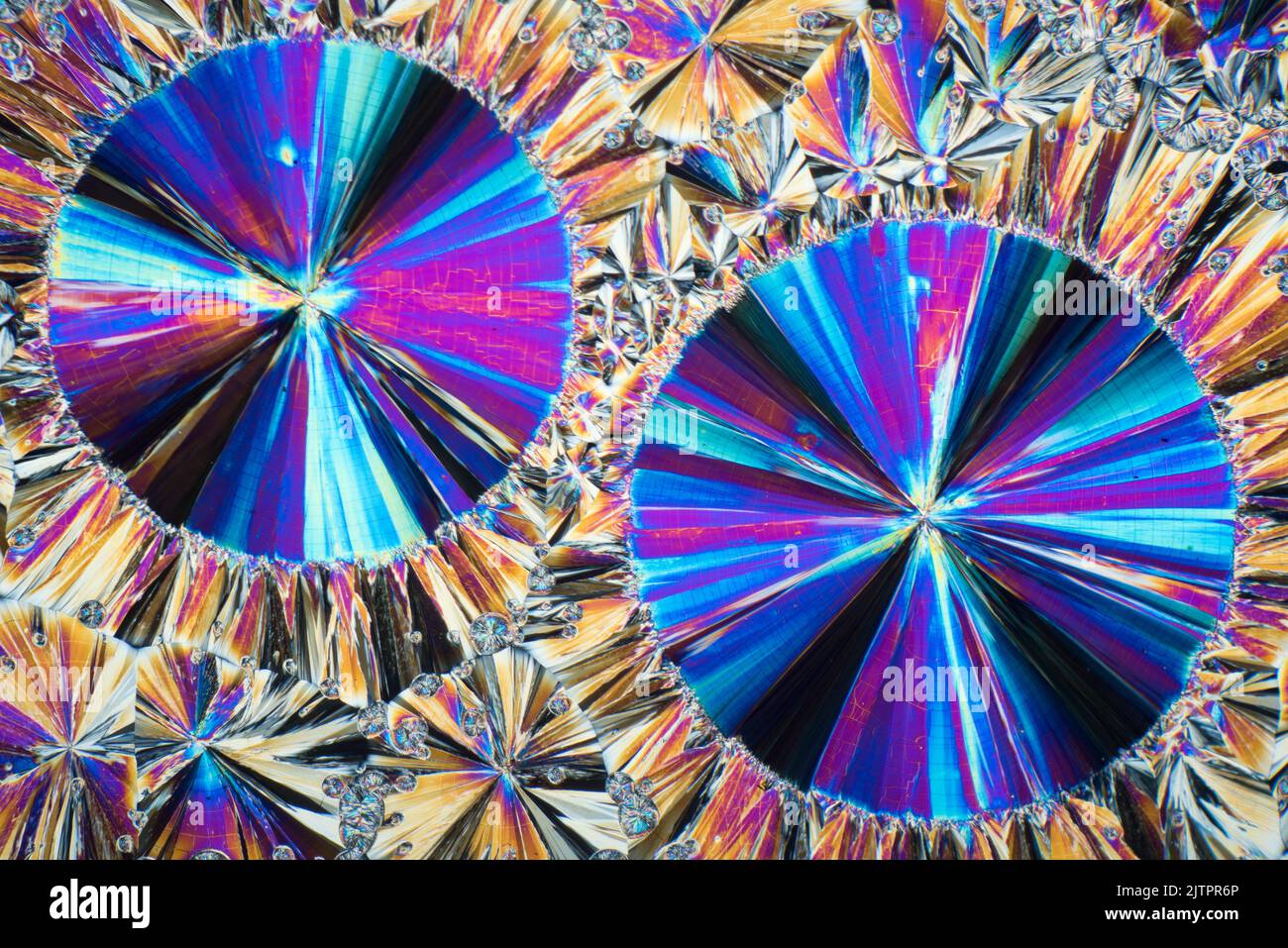 Salicene chemische kristalline Gleitschmelze, kreuzpolarisierte Photomikrograph Stockfoto