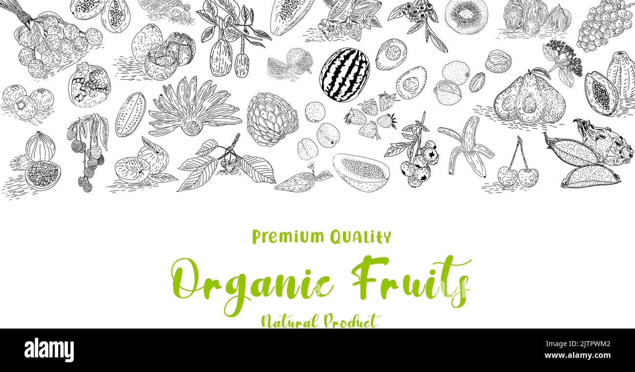 Obstkollektion im flachen handgezeichneten Stil, Illustrations-Set. Dekorative Kollektion im Retro-Stil handgezeichnetes Bauernprodukt für die Speisekarte des Restaurants. Vektor. Stock Vektor