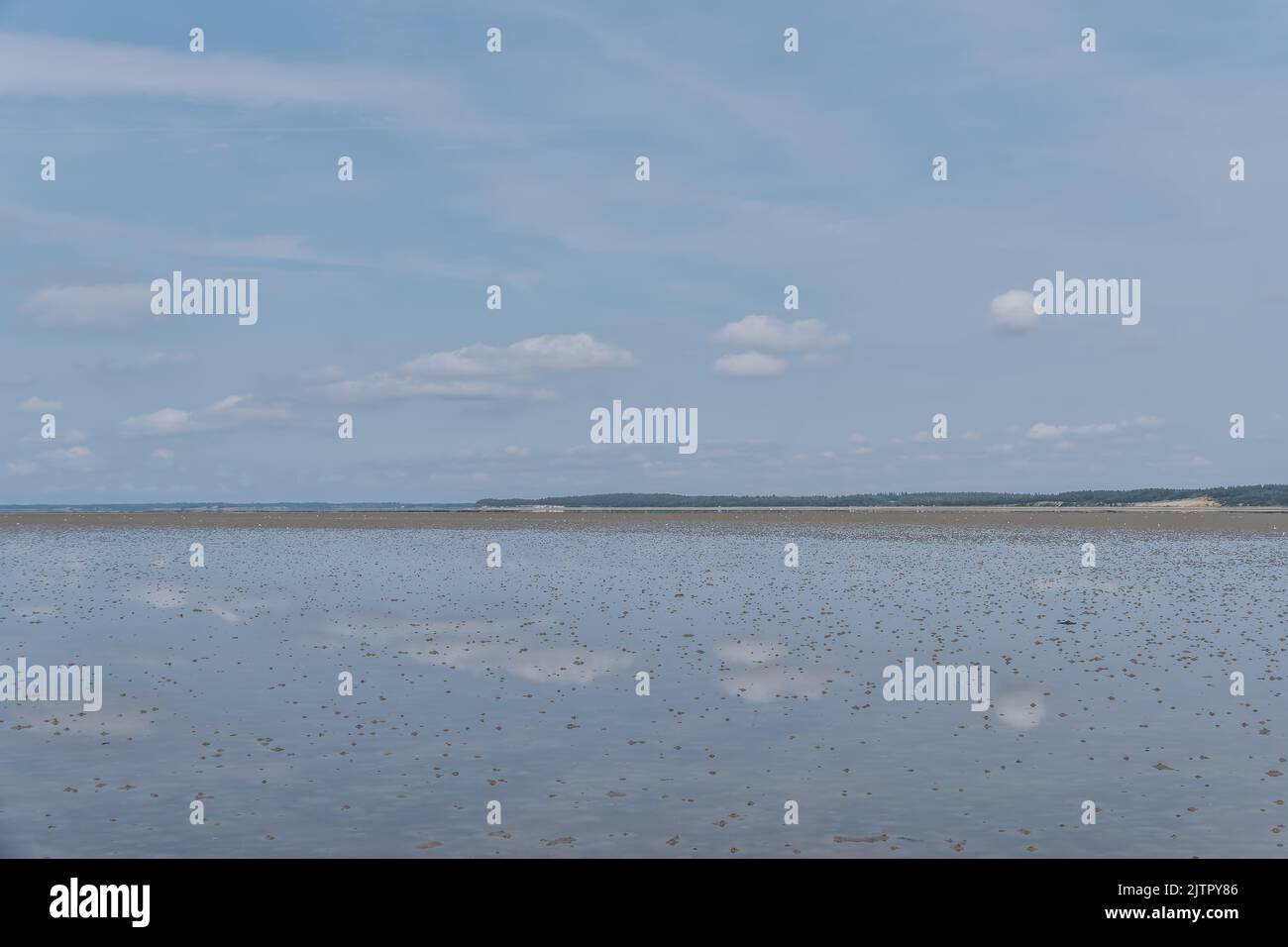 Wattenmeer UNESCO-Gebiet auf der Insel Langli, bei Esbjerg Dänemark Stockfoto