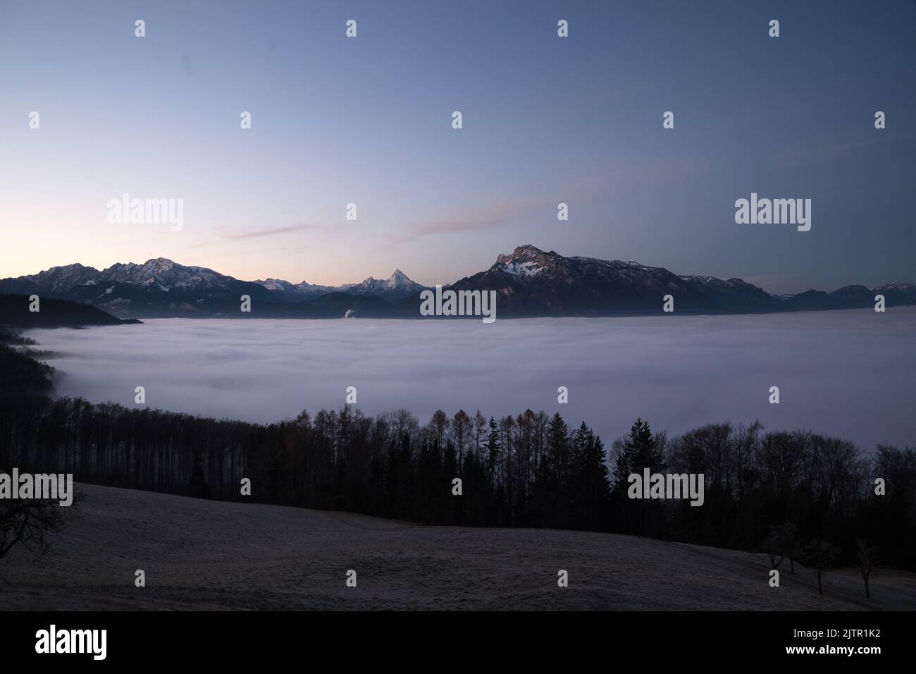 Wavey Fog in Österreich Stockfoto
