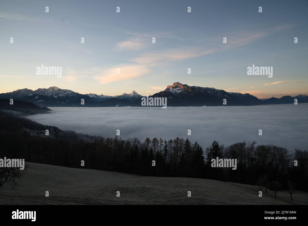 Wavey Fog in Österreich Stockfoto