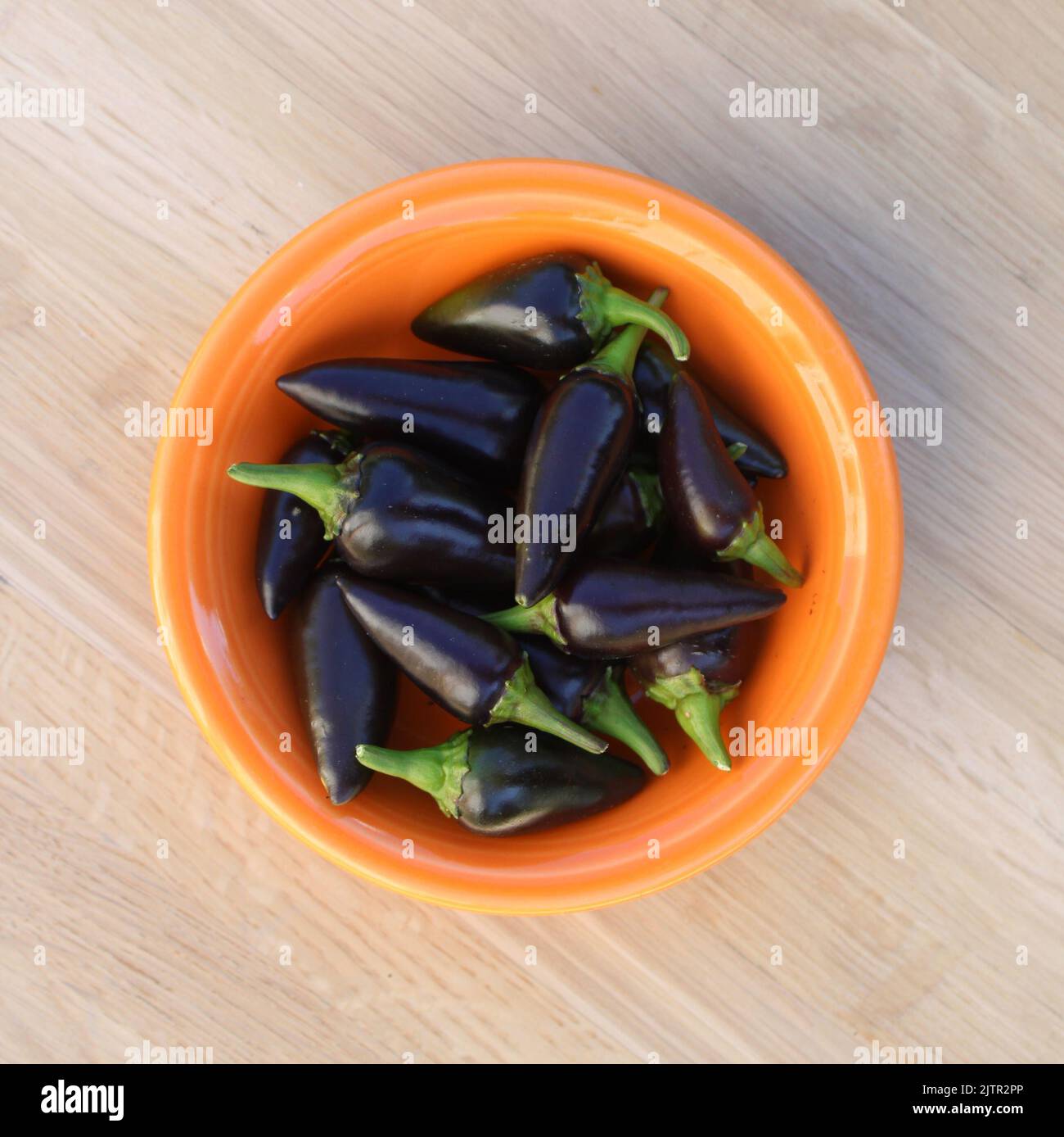 Eine kleine Schüssel voller glänzender schwarzer Hot Peppers Stockfoto