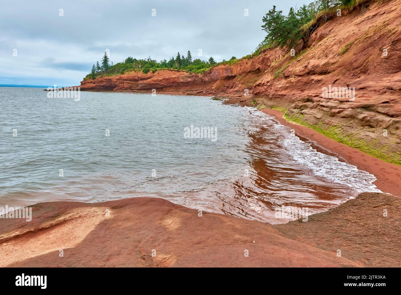 Burntcoat Head Park in East Hants in der Nähe von Noel Nova Scotia. Diese Gegend an der Bay of Fundy hat die höchsten Gezeiten der Welt. Hier ist eine Aufnahme, die auf High ti aufgenommen wurde Stockfoto