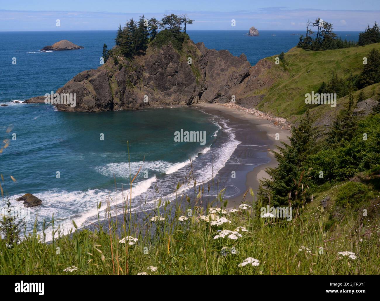 Küste von Oregon in der Nähe von Bandon, Oregon Stockfoto