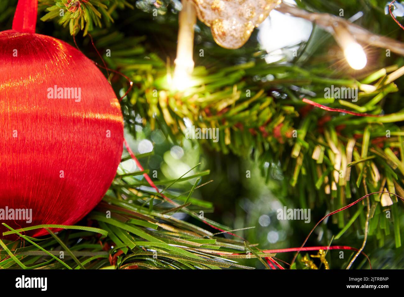 Rot glänzendes Weihnachtskugelspielzeug auf dem immergrünen festlichen Baumzweig. Hintergründe zum neuen Jahr mit Platz für Text Stockfoto