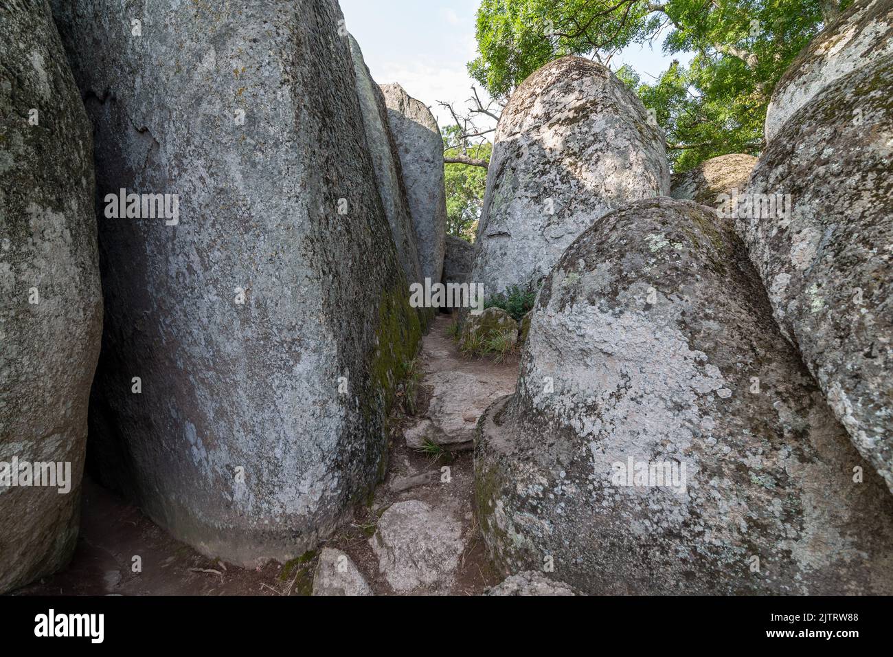 Beglik Tasch oder Begliktasch, ist ein prähistorisches Felsenphänomen, das an der südlichen Schwarzmeerküste Bulgariens, wenige Kilometer nördlich der Stadt liegt Stockfoto