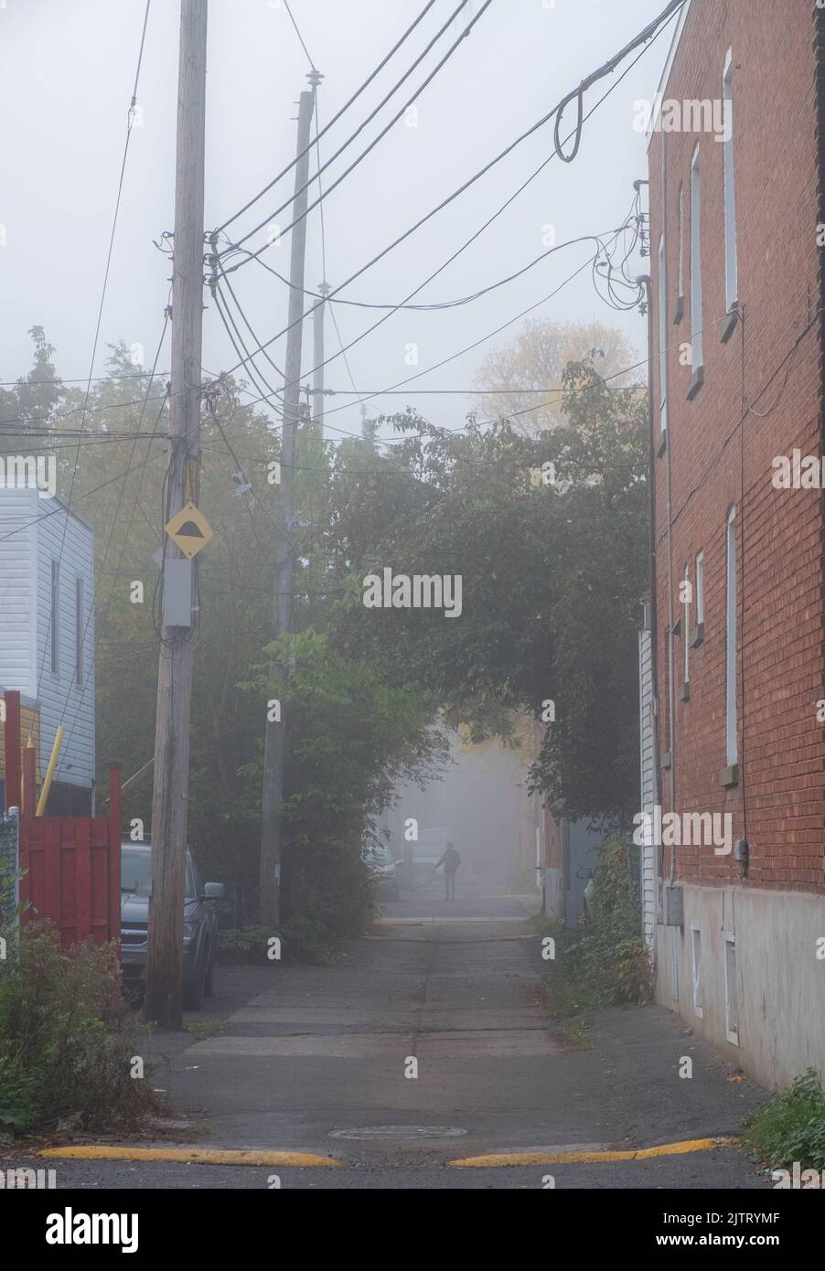 Hinterstraße im Nebel Stockfoto