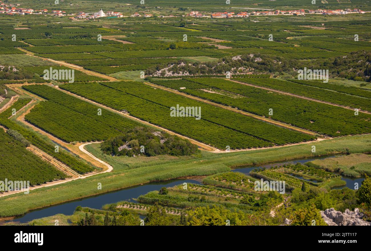OPUZEN, NERETVA-TAL, KROATIEN, EUROPA - Land- und Bewässerungskanäle im Neretva-Tal. Stockfoto