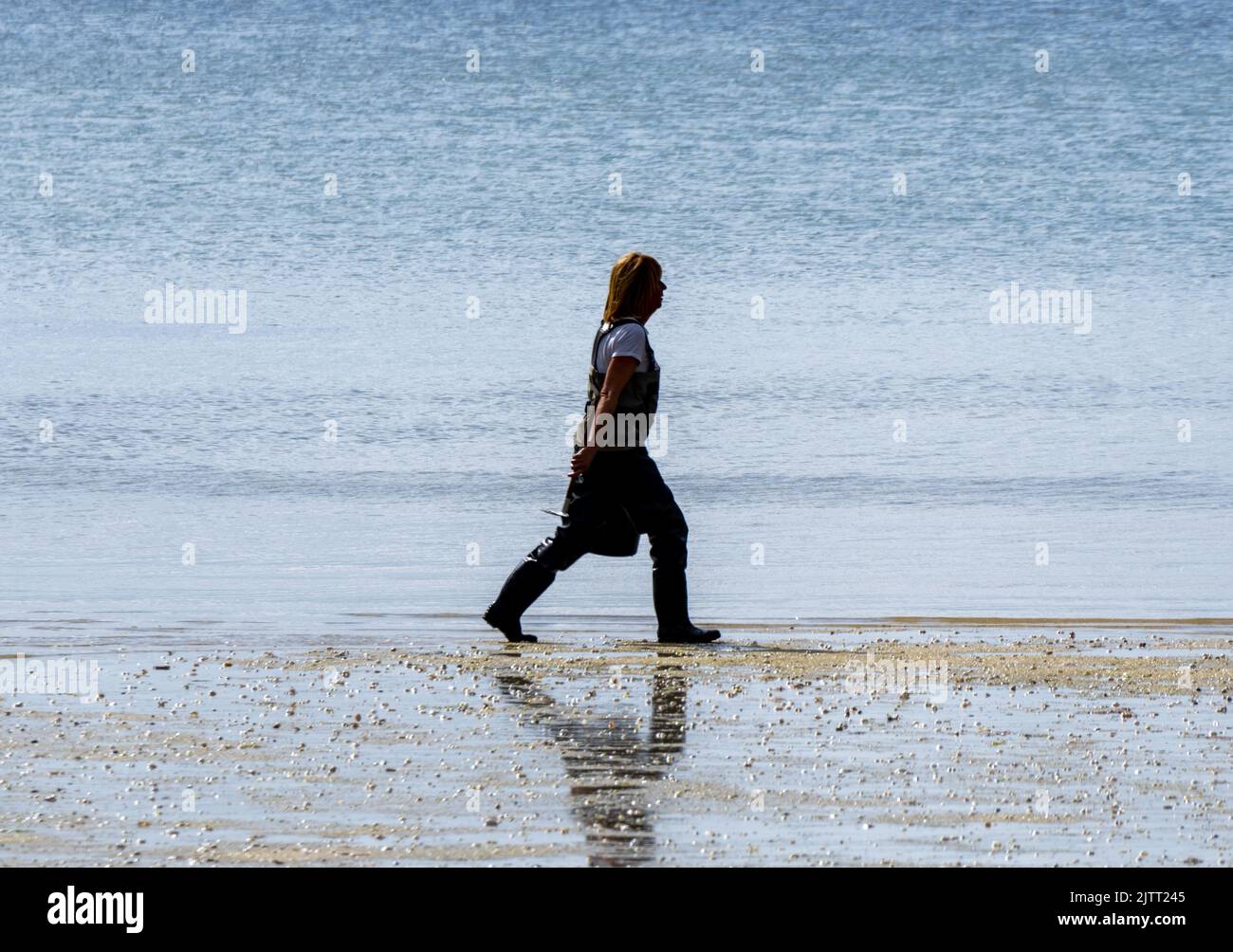 Muschelsammler Frau, die am Strand entlang geht, um sich darauf vorzubereiten, Muscheln und Muscheln mit seinem Rechen vom Strand zu sammeln. Die Strand von Boiro in Pontevedra Stockfoto