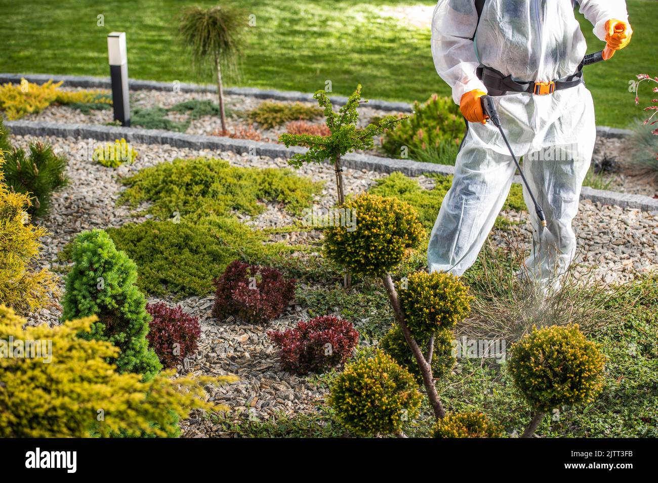 Professioneller Gärtner in Schutzoverall und Handschuhen, der Pestizide auf verschiedene Sträucher sprüht und im landschaftlich gestalteten Garten des Hinterhofs seines Kunden gespült wird. Stockfoto