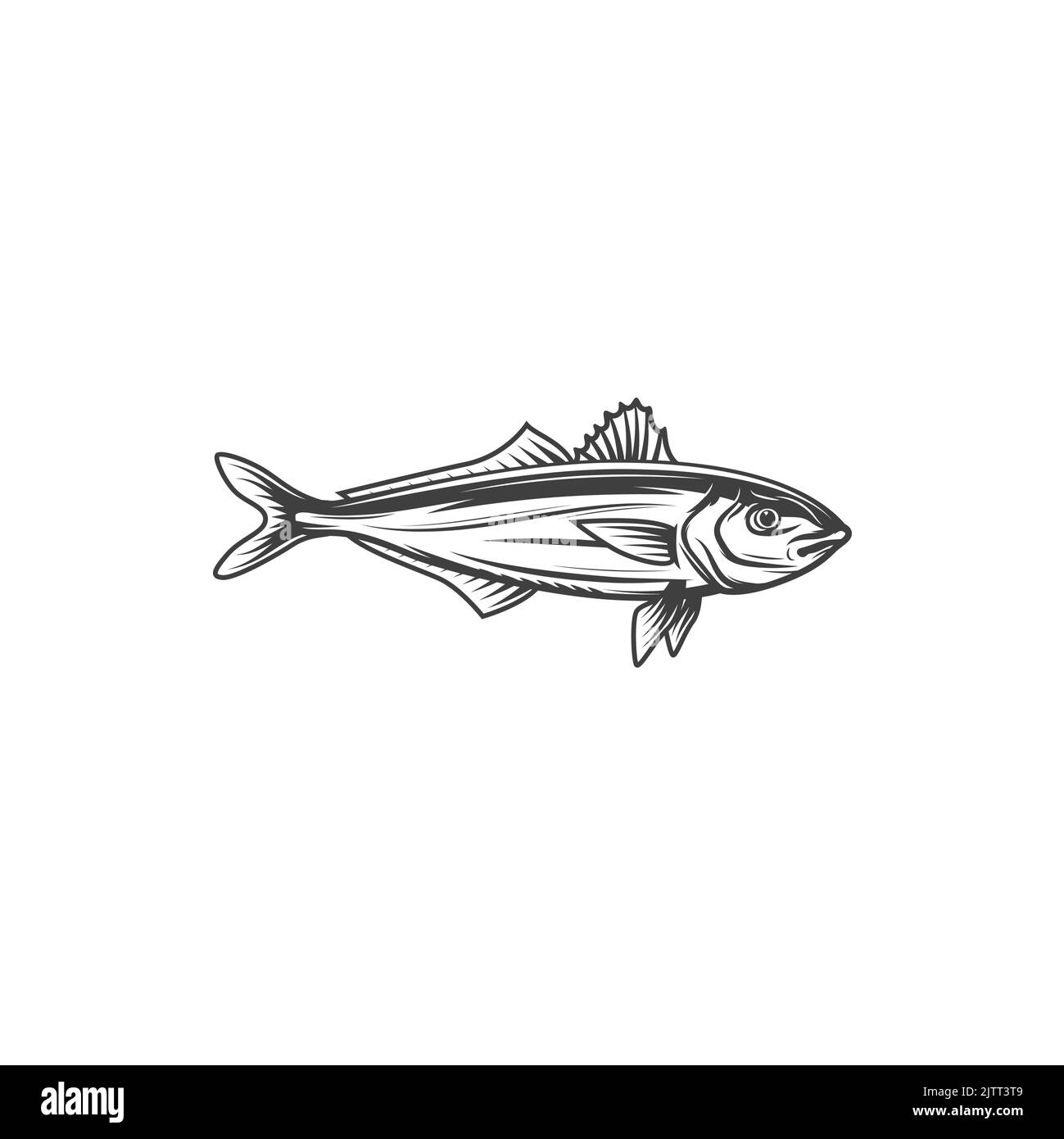 Monochrome Fischikone aus Messing, Meermessing. Vector serranus cabrilla marine Unterwasser aquatischen Unterwasser Tier. Fisch der Familie Serranida, geriffelter Sand b Stock Vektor