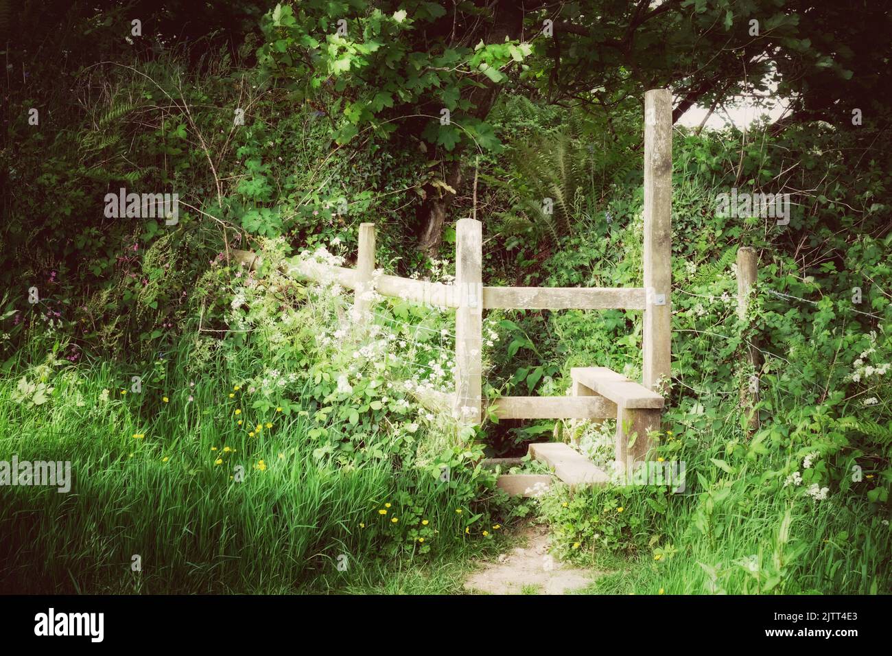 Ein ländliches Holz Landstil - John Gollop Stockfoto