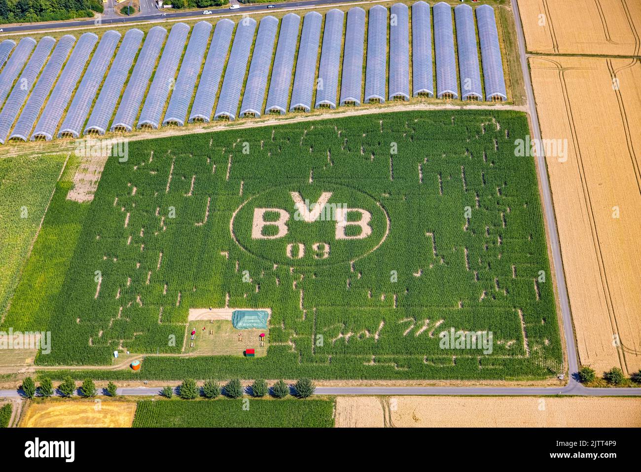 Luftaufnahme, BVB-Logo im Feld, Hof Mertin, Hostedde, Dortmund, Ruhrgebiet, Nordrhein-Westfalen, Deutschland, DE, Europa, Logo, Luftaufnahmen, vorbei Stockfoto