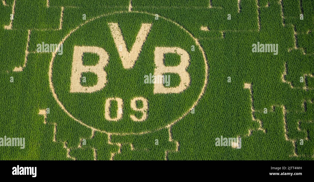 Luftaufnahme, BVB-Logo im Feld, Mertin-Hof, Hostedde, Dortmund, Ruhrgebiet, Nordrhein-Westfalen, Deutschland, DE, Europa, Logo, Luftaufnahmen, Ove Stockfoto