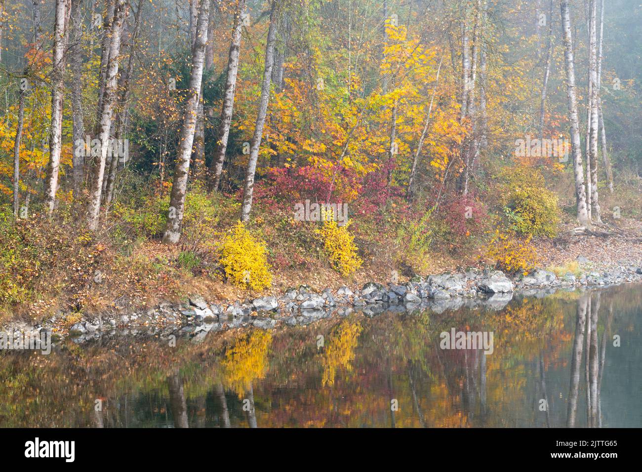 Nebliger Morgen am Flussufer im Herbst im Bundesstaat Western Washington Stockfoto
