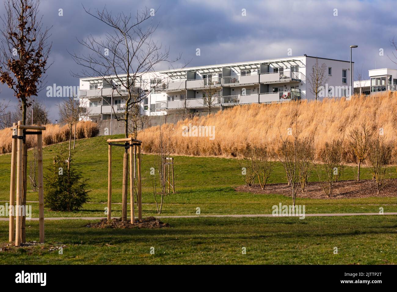 Ein Flachdach-Apartmentblock in einer neuen Stadtentwicklung mit einer Grünfläche Stockfoto