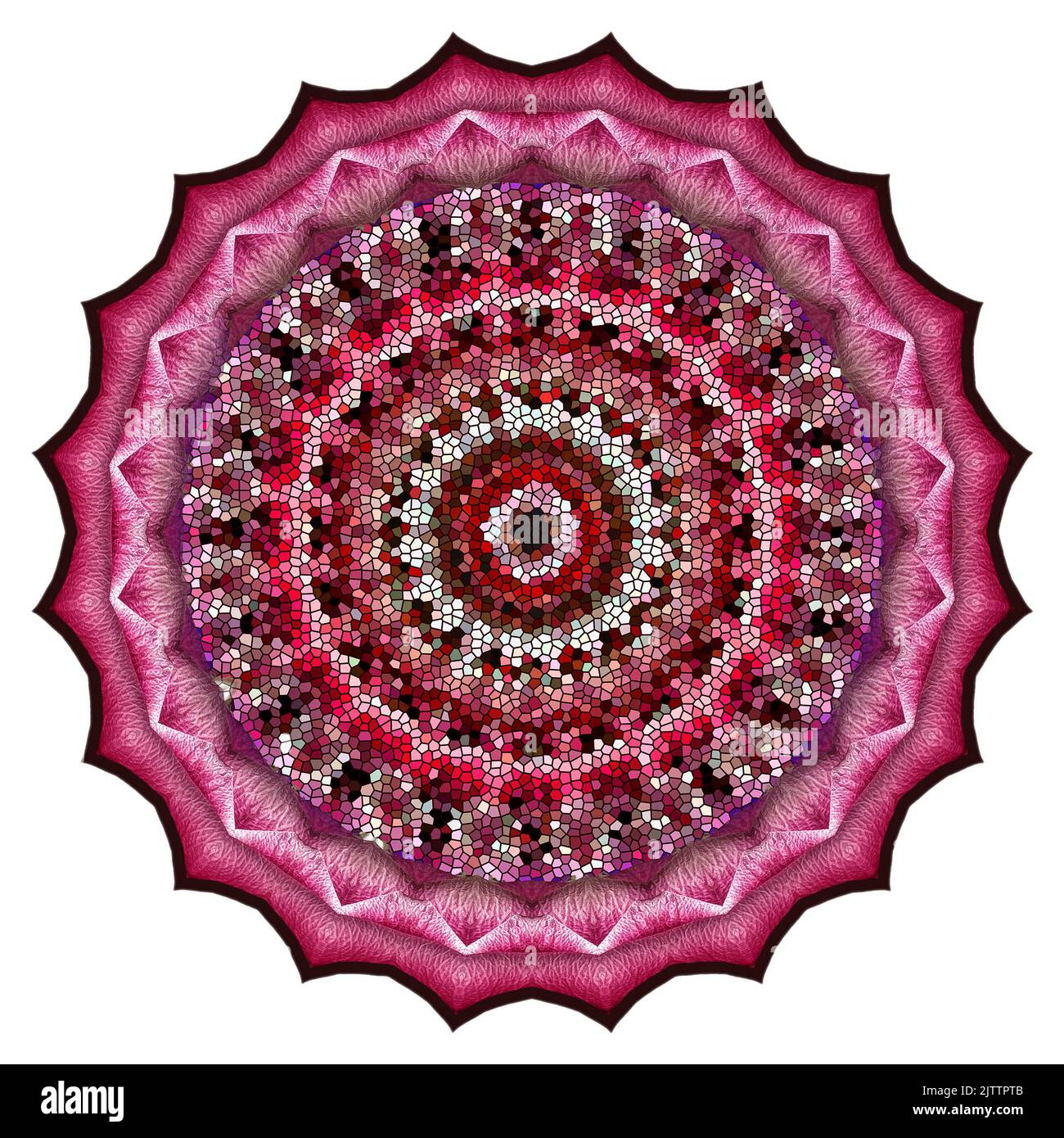 Kaleidoskop Konzentrisches Muster - Abstraktes, Floral Inspiriertes Design Stockfoto