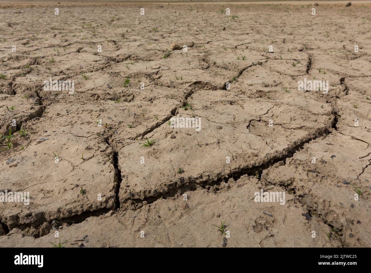 Dürre, die den Stausee Lac de L'Escourou, Nouvelle-Aquitaine, Frankreich betrifft Stockfoto