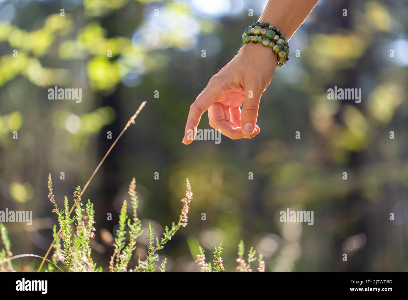 Nahaufnahme der Hand mit Armband im Wald Stockfoto