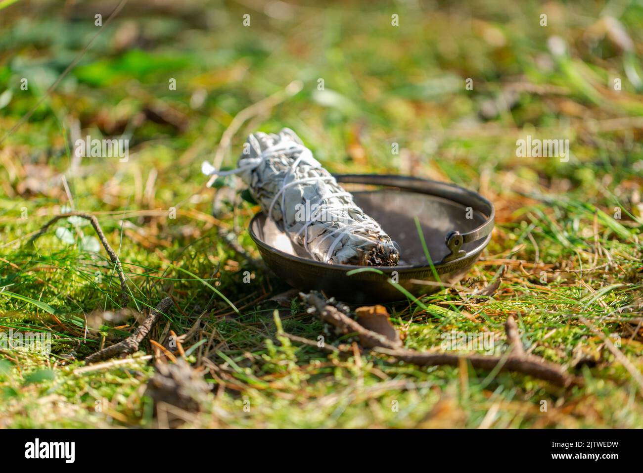 Weißer Salbei im Becher für magisches Ritual im Wald Stockfoto