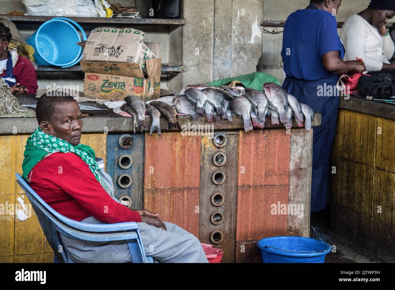 Nakuru, Kenia. 01. September 2022. Ein Händler verkauft Fisch auf dem Frischemarkt von Nakuru Town. Die Inflation in Kenia stieg im August, dem Monat, in dem die Parlamentswahlen stattfanden, auf 8,5 %, wobei die Nahrungsmittelinflation bei 15,3 % lag. Der Anstieg ist seit März 2022 im Aufwärtstrend. (Foto von James Wakibia/SOPA Images/Sipa USA) Quelle: SIPA USA/Alamy Live News Stockfoto