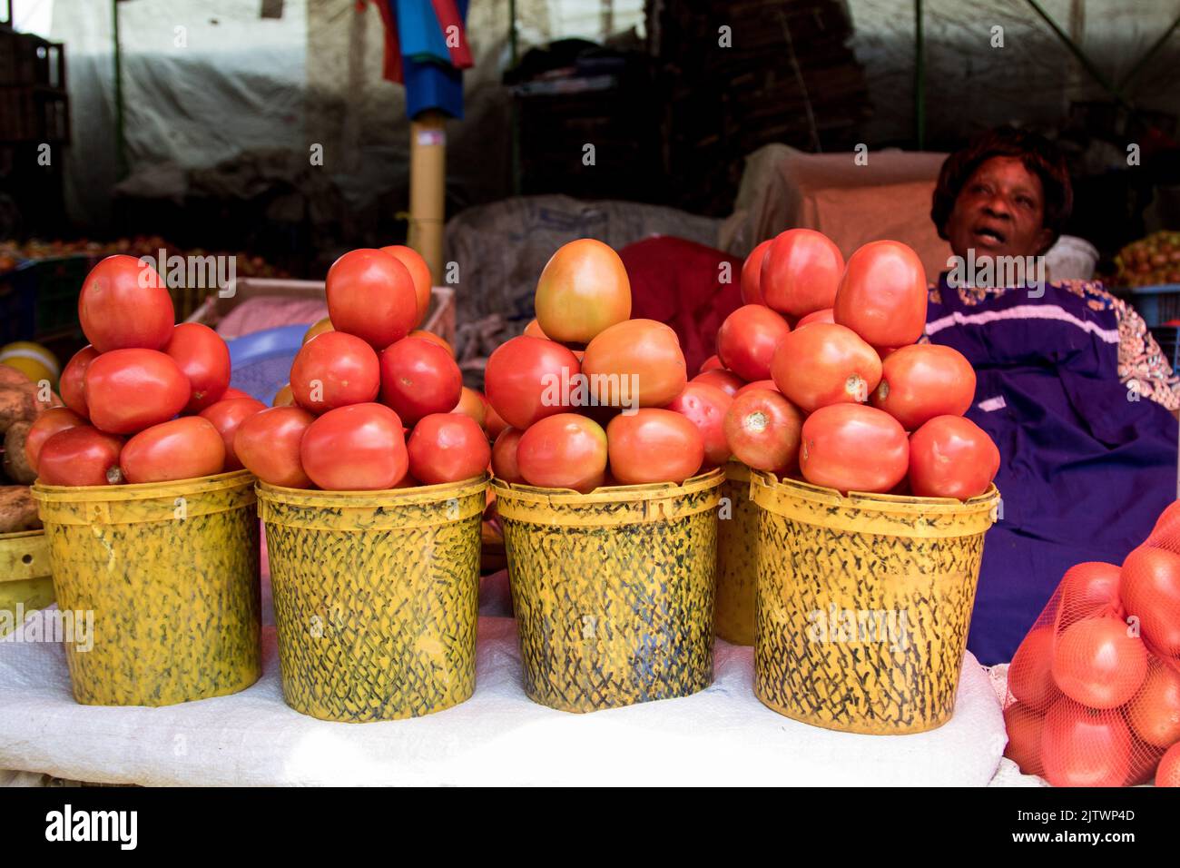 Nakuru, Kenia. 01. September 2022. Ein Händler verkauft Tomaten auf einem Frischemarkt in Nakuru Town. Die Inflation in Kenia stieg im August, dem Monat, in dem die Parlamentswahlen stattfanden, auf 8,5 %, wobei die Nahrungsmittelinflation bei 15,3 % lag. Der Anstieg ist seit März 2022 im Aufwärtstrend. (Foto von James Wakibia/SOPA Images/Sipa USA) Quelle: SIPA USA/Alamy Live News Stockfoto